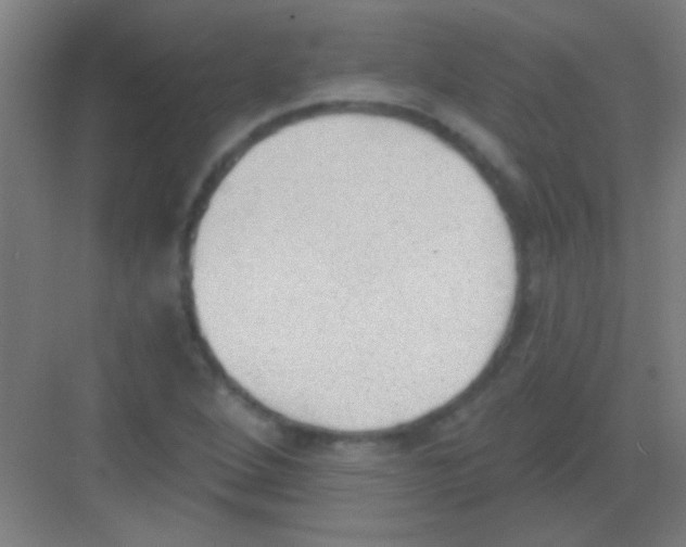 X0000081281264200702081943