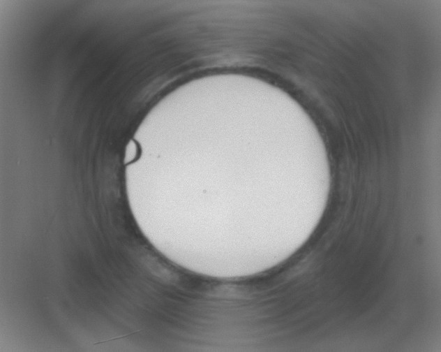 X0000081281265200702081943