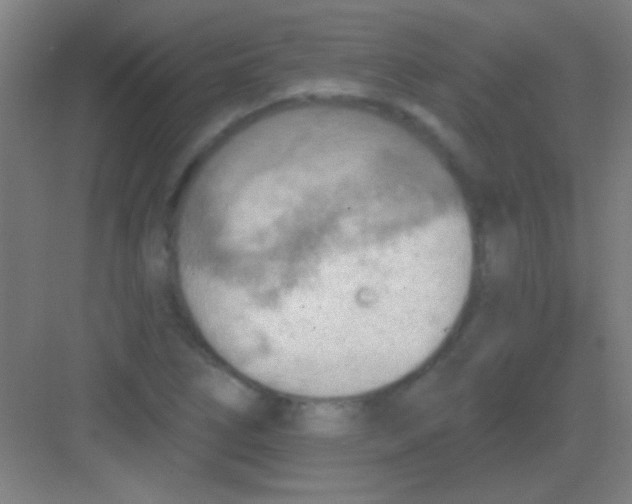 X0000081281266200702081943