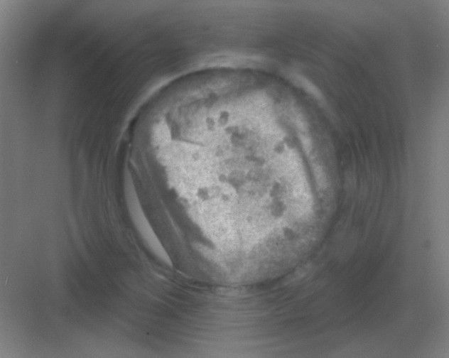 X0000081281267200702081943