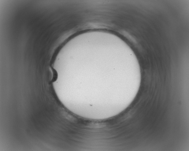 X0000081281269200702081943