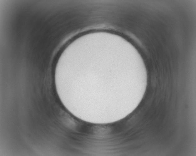 X0000081281270200702081943