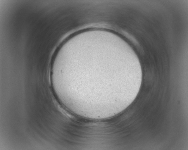 X0000081281272200702081943