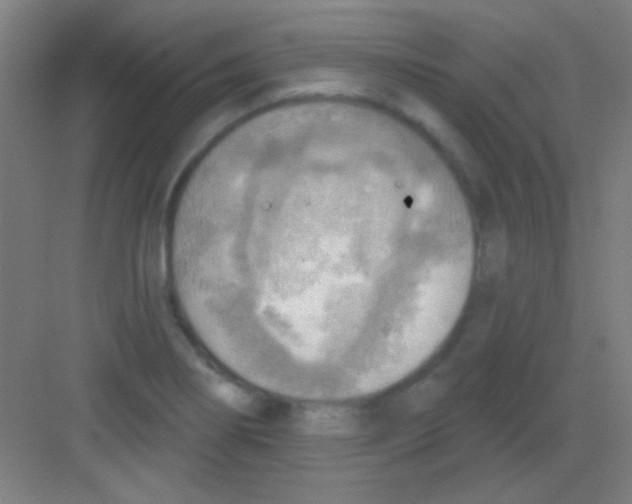 X0000081281274200702081943