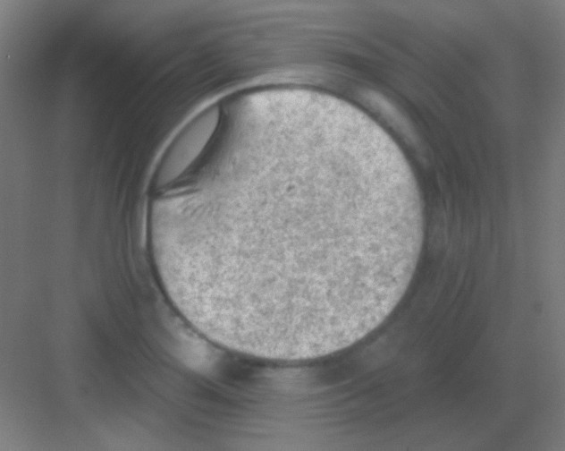 X0000081281276200702081943