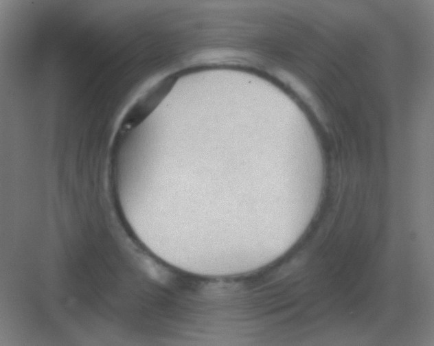 X0000081281277200702081943