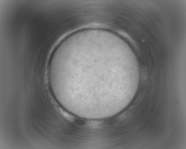 X0000081281278200702081943