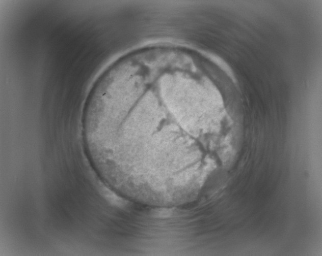 X0000081281279200702081943