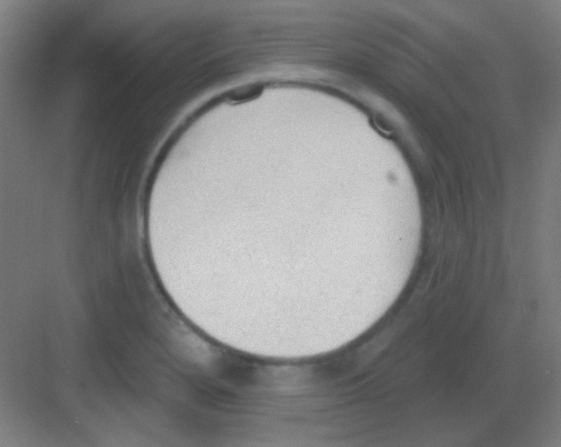 X0000081281280200702081943