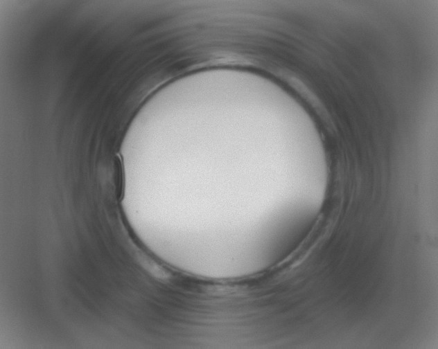 X0000081281281200702081943