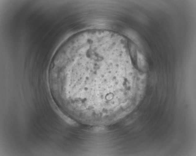 X0000081281283200702081943