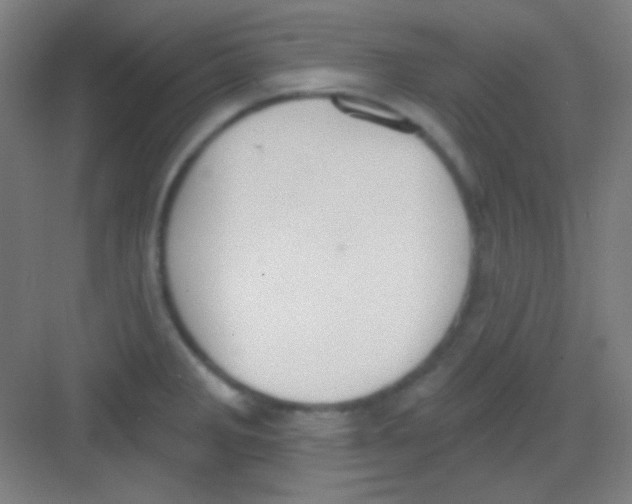 X0000081281285200702081943