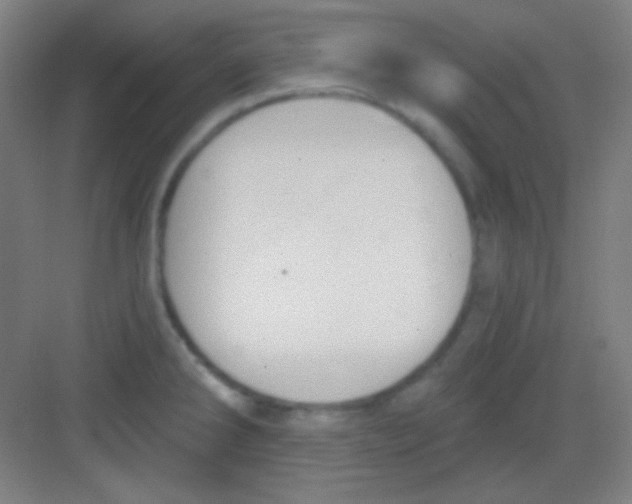 X0000081281286200702081943