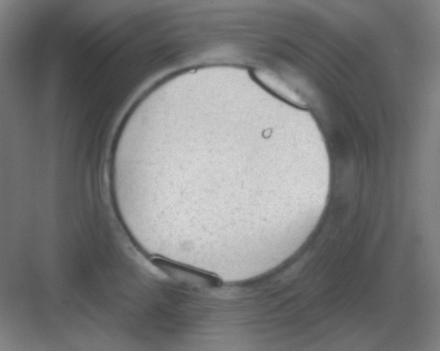 X0000081281288200702081943