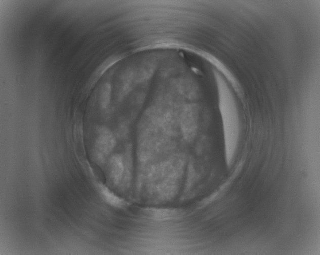 X0000081281289200702081943