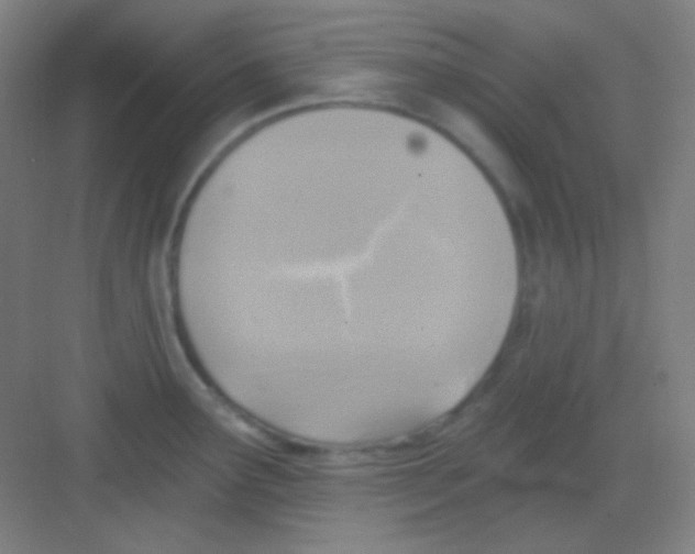 X0000081281291200702081943