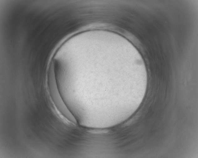 X0000081281296200702081943