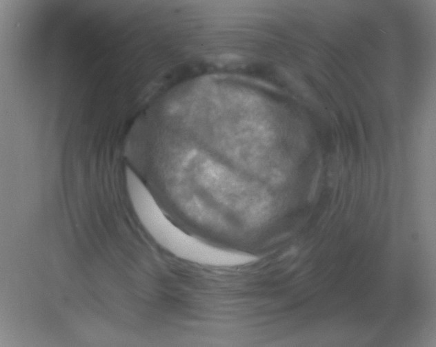 X0000081281298200702081942