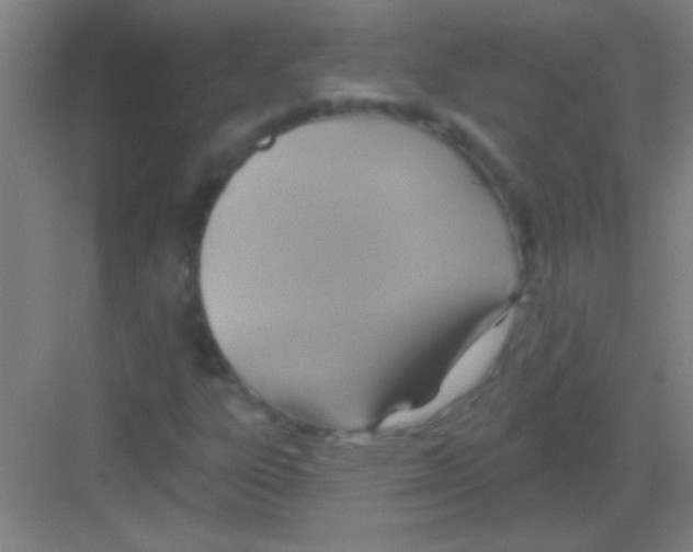 X0000081281303200702081942