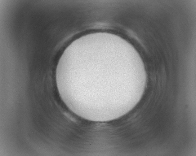 X0000081281304200702081942