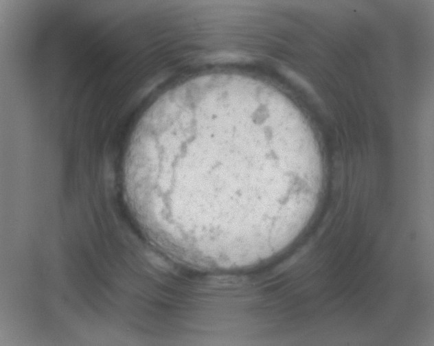 X0000081281305200702081942