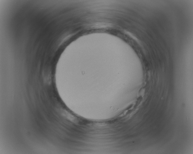 X0000081281306200702081942