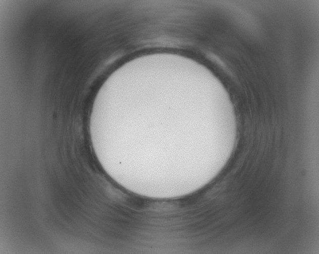 X0000081281307200702081942