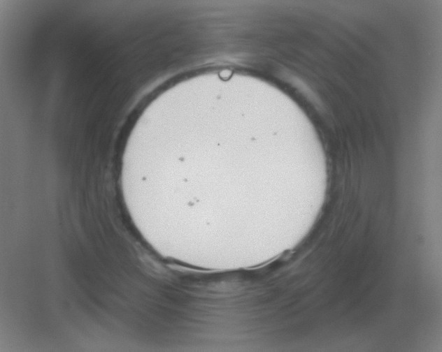 X0000081281308200702081942