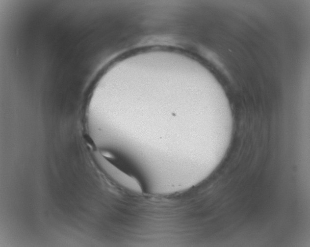 X0000081281312200702081942