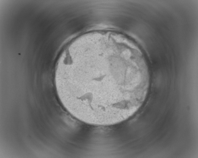 X0000081281314200702081942