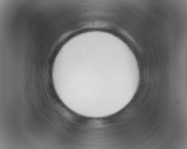 X0000081281315200702081942