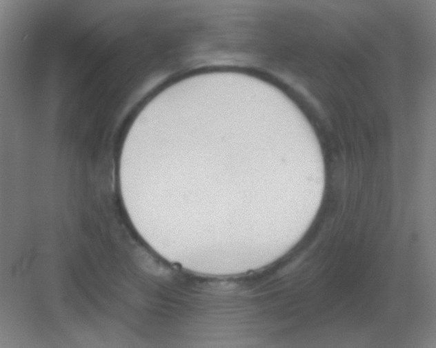 X0000081281317200702081942