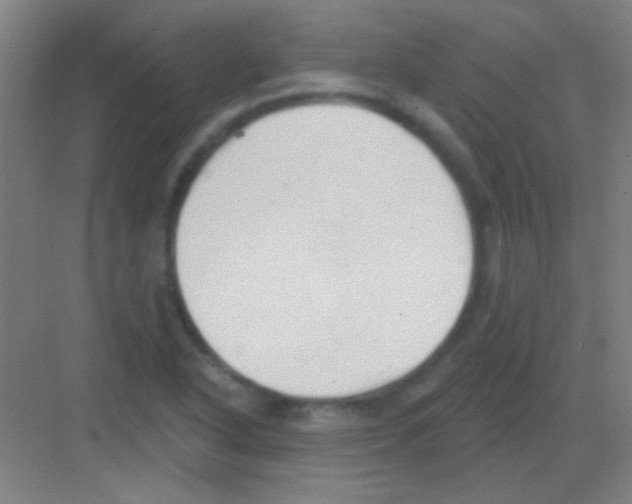 X0000081281318200702081942