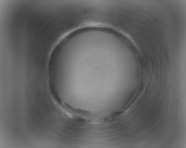 X0000081281319200702081942