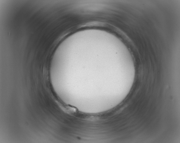 X0000081281321200702081942