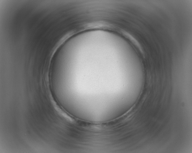 X0000081281330200702081943