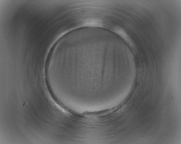 X0000081281331200702081943