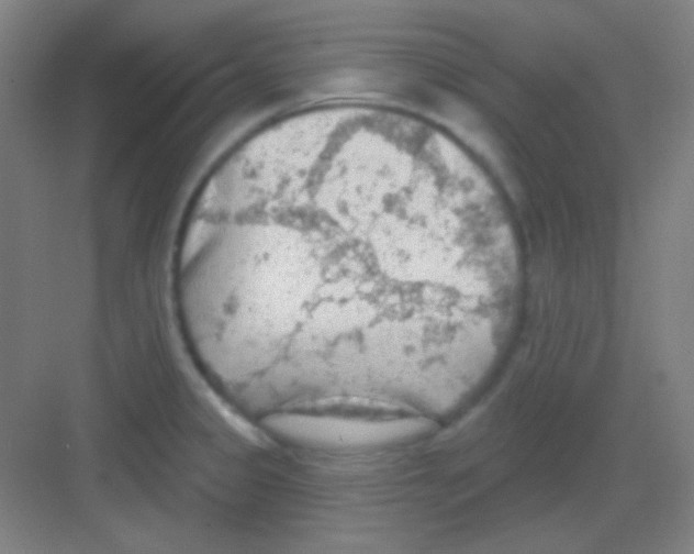 X0000081281333200702081943