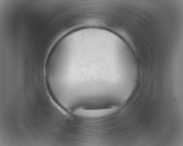 X0000081281335200702081943