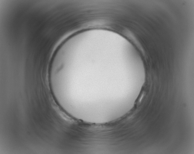 X0000081281336200702081943