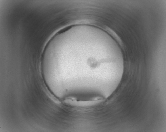 X0000081281340200702081943