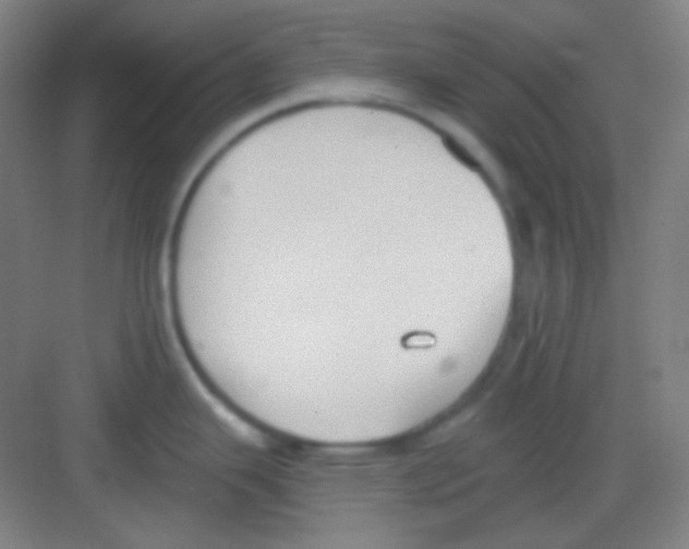 X0000081281343200702081943