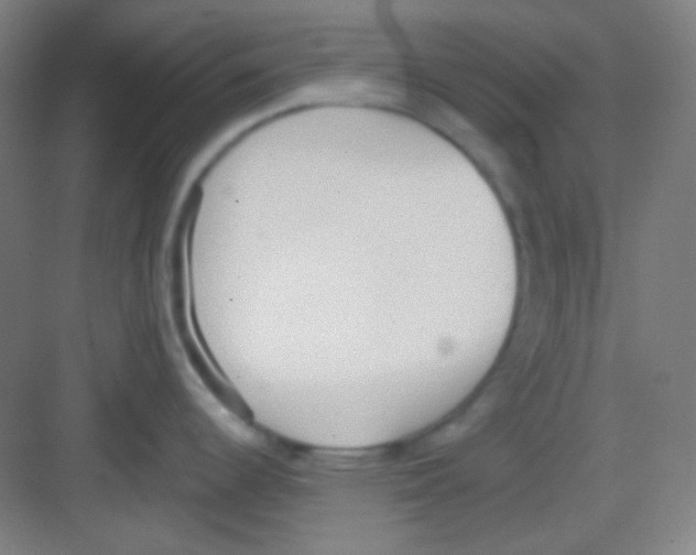 X0000081281344200702081943