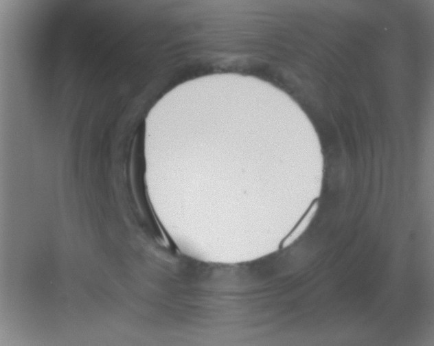 X0000081281345200702081942