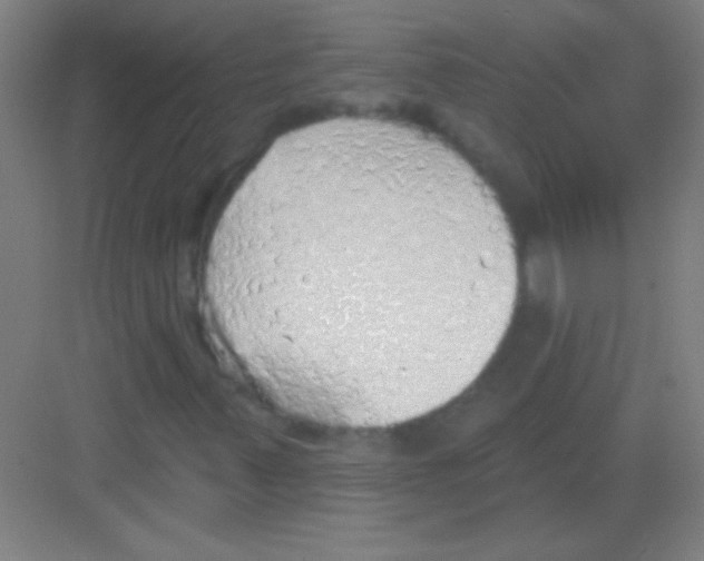 X0000081281347200702081942