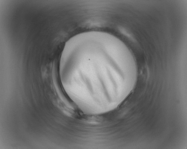 X0000081281348200702081942