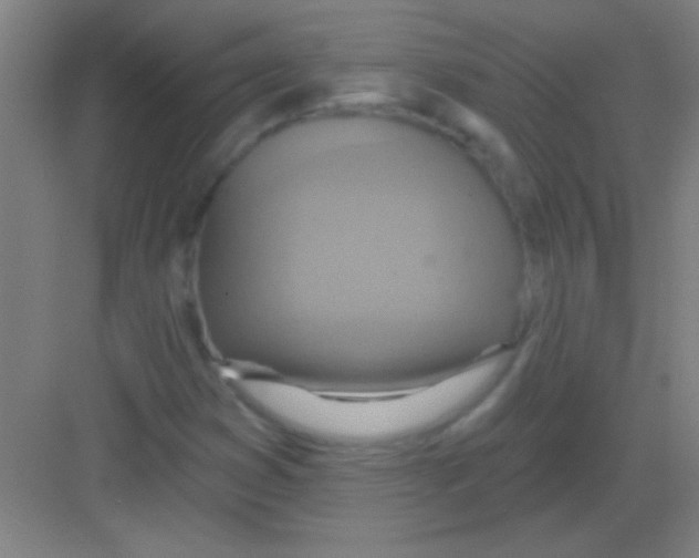 X0000081281353200702081942