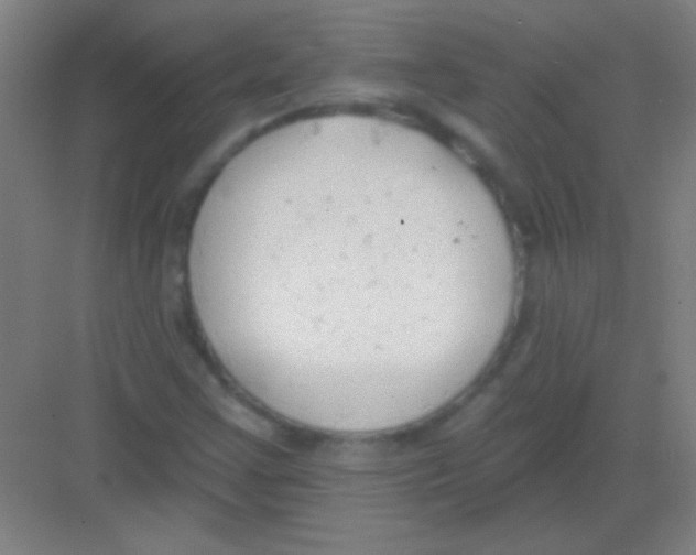 X0000081281355200702081942