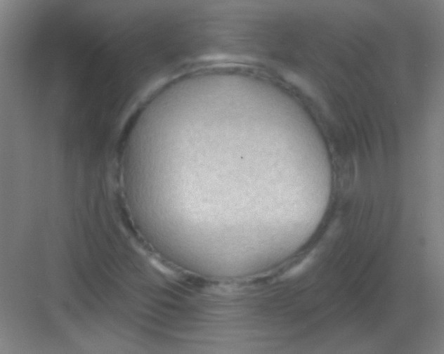 X0000081281357200702081942