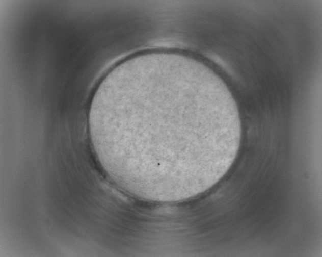 X0000081281358200702081942